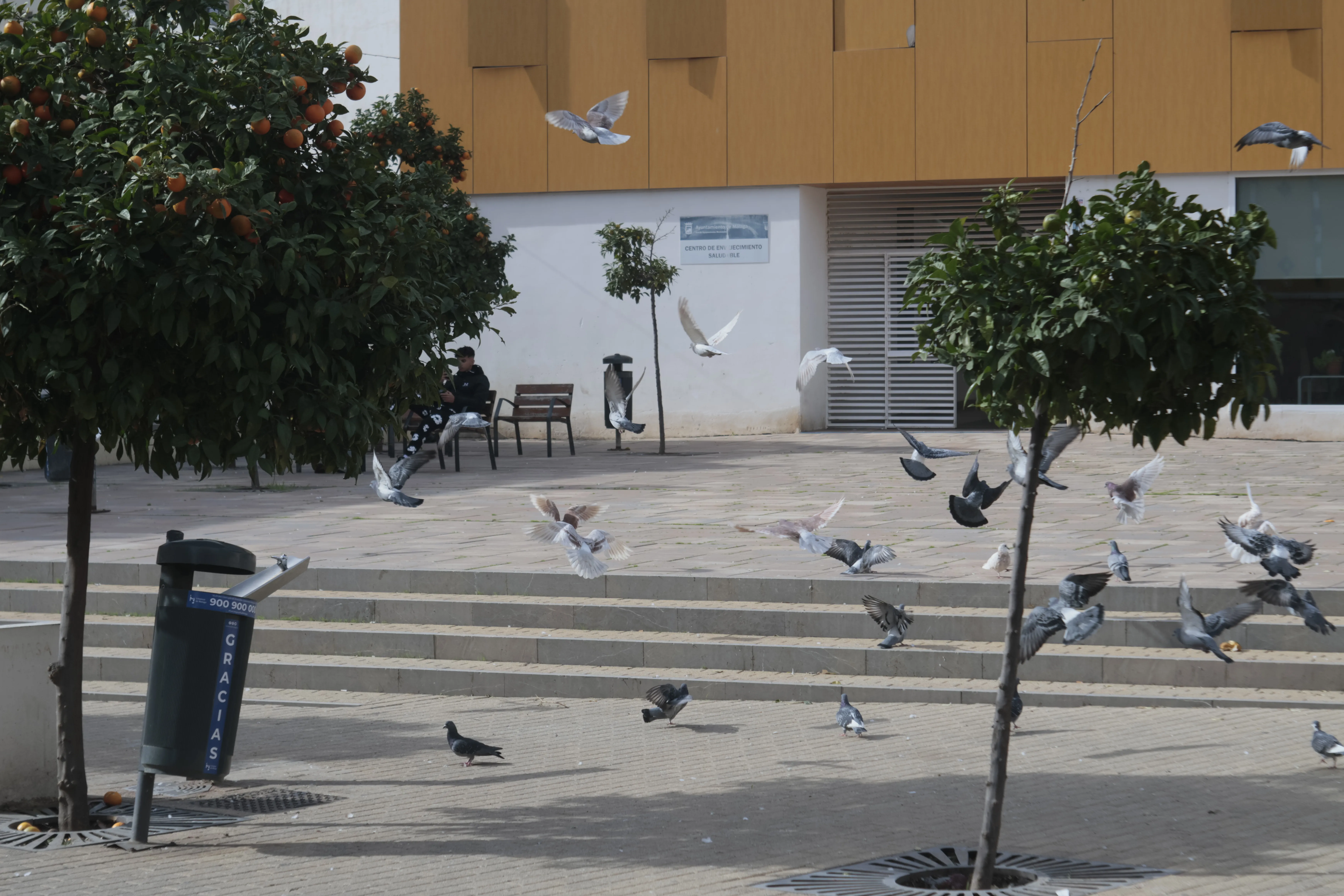 Industar-50-2 50mm f3.5 (M42) - _I4A4663.webp